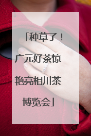 种草了！广元好茶惊艳亮相川茶博览会