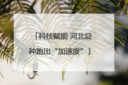 科技赋能 河北夏种跑出“加速度”