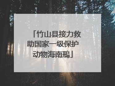 竹山县接力救助国家一级保护动物海南鳽