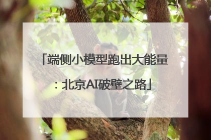 端侧小模型跑出大能量：北京AI破壁之路