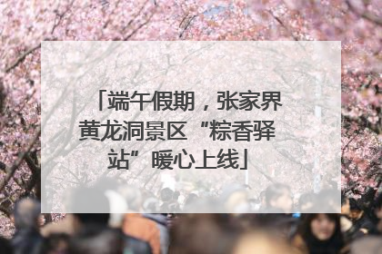 端午假期，张家界黄龙洞景区“粽香驿站”暖心上线