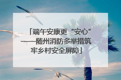 端午安康更“安心”——随州消防多举措筑牢乡村安全屏障
