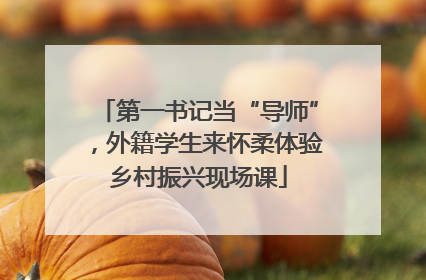 第一书记当“导师”，外籍学生来怀柔体验乡村振兴现场课
