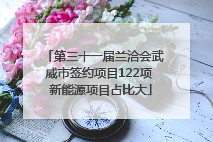 第三十一届兰洽会武威市签约项目122项 新能源项目占比大