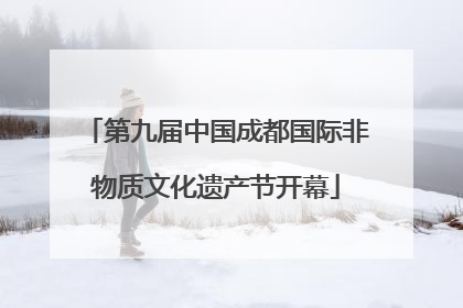 第九届中国成都国际非物质文化遗产节开幕