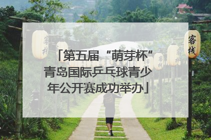 第五届“萌芽杯”青岛国际乒乓球青少年公开赛成功举办
