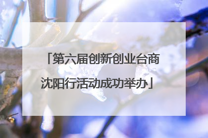 第六届创新创业台商沈阳行活动成功举办