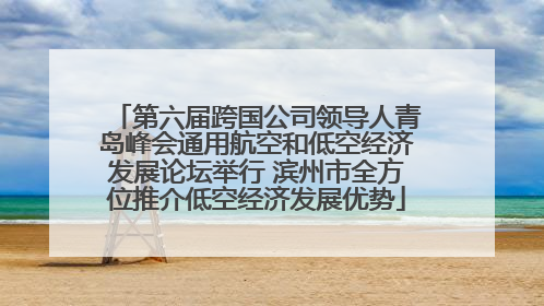 第六届跨国公司领导人青岛峰会通用航空和低空经济发展论坛举行 滨州市全方位推介低空经济发展优势