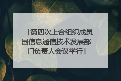 第四次上合组织成员国信息通信技术发展部门负责人会议举行