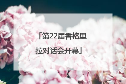 第22届香格里拉对话会开幕