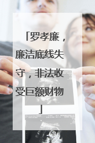 罗孝廉，廉洁底线失守，非法收受巨额财物