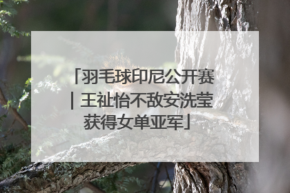 羽毛球印尼公开赛｜王祉怡不敌安洗莹 获得女单亚军