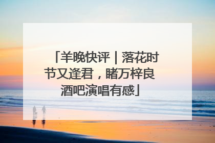 羊晚快评｜落花时节又逢君，睹万梓良酒吧演唱有感