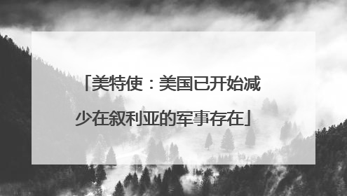 美特使：美国已开始减少在叙利亚的军事存在