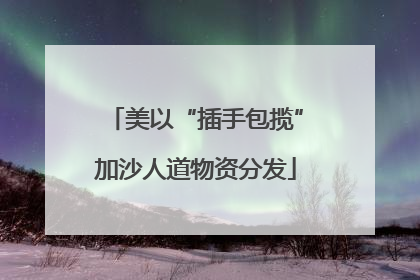 美以“插手包揽”加沙人道物资分发