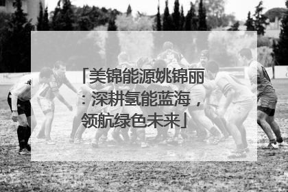 美锦能源姚锦丽：深耕氢能蓝海，领航绿色未来