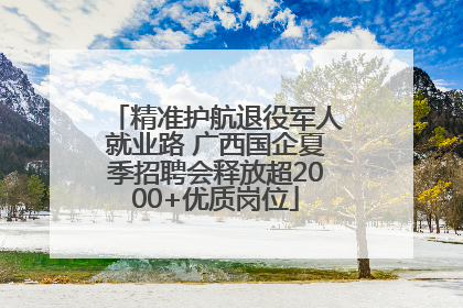 精准护航退役军人就业路 广西国企夏季招聘会释放超2000+优质岗位