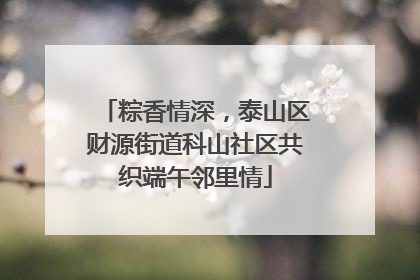 粽香情深，泰山区财源街道科山社区共织端午邻里情