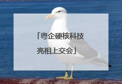 粤企硬核科技亮相上交会