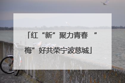 红“新”聚力青春 “梅”好共荣宁波慈城