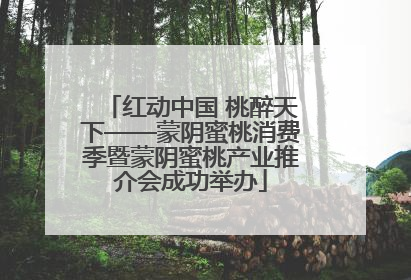红动中国 桃醉天下——蒙阴蜜桃消费季暨蒙阴蜜桃产业推介会成功举办