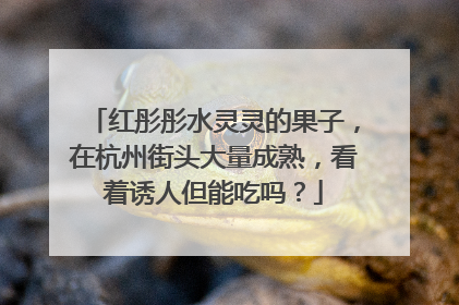 红彤彤水灵灵的果子，在杭州街头大量成熟，看着诱人但能吃吗？