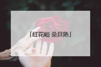 红花峪 桑葚熟