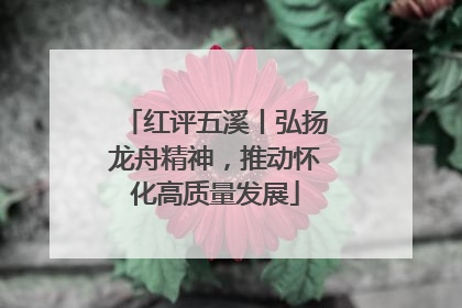 红评五溪丨弘扬龙舟精神，推动怀化高质量发展