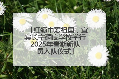 红领巾爱祖国，宜宾长宁硐底学校举行2025年春期新队员入队仪式