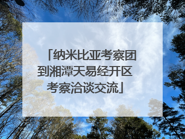 纳米比亚考察团到湘潭天易经开区考察洽谈交流