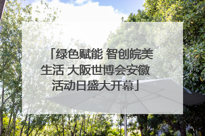 绿色赋能 智创皖美生活 大阪世博会安徽活动日盛大开幕