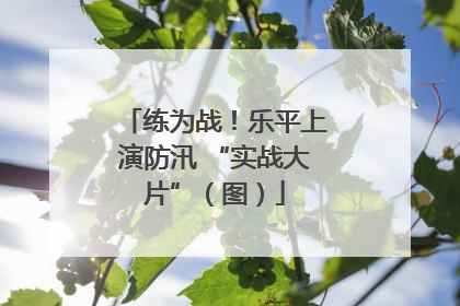 练为战！乐平上演防汛 “实战大片”（图）