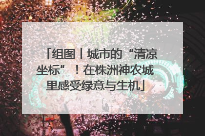 组图丨城市的“清凉坐标”！在株洲神农城里感受绿意与生机