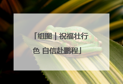 组图｜祝福壮行色 自信赴鹏程