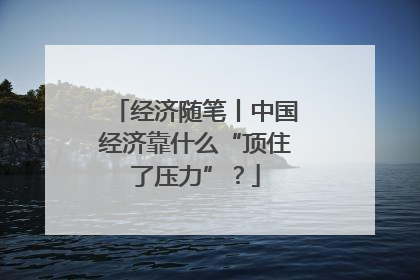 经济随笔丨中国经济靠什么“顶住了压力”？