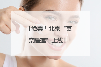 绝美！北京“莫奈睡莲”上线