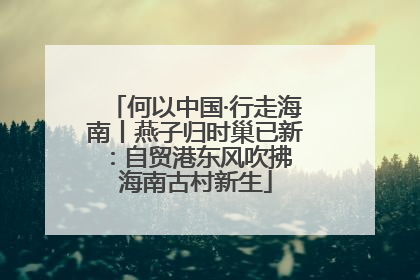 何以中国·行走海南丨燕子归时巢已新：自贸港东风吹拂 海南古村新生