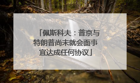 佩斯科夫：普京与特朗普尚未就会面事宜达成任何协议