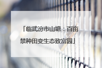 临武汾市山塘：百亩禁种田变生态致富园