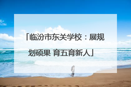 临汾市东关学校：展规划硕果 育五育新人