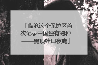 临沧这个保护区首次记录中国独有物种——黑顶蛙口夜鹰
