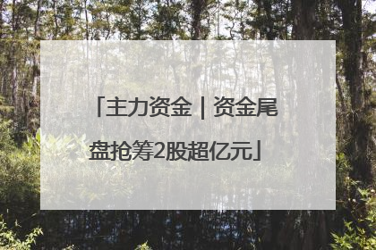 主力资金｜资金尾盘抢筹2股超亿元