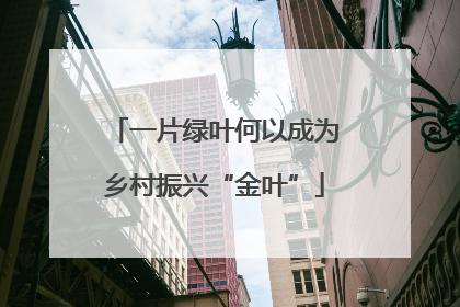 一片绿叶何以成为乡村振兴“金叶”