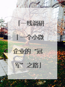 一线调研丨一个小微企业的“冠军”之路