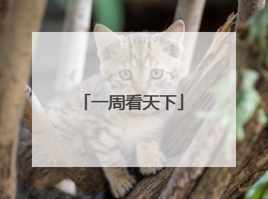 一周看天下