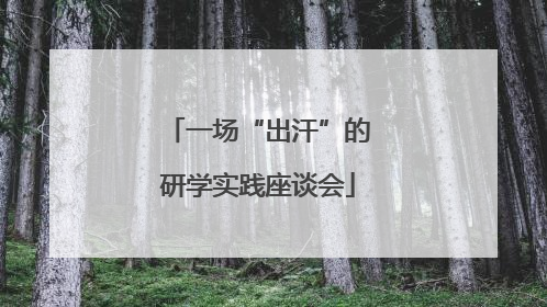 一场“出汗”的研学实践座谈会