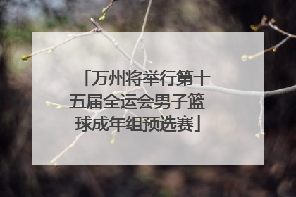 万州将举行第十五届全运会男子篮球成年组预选赛
