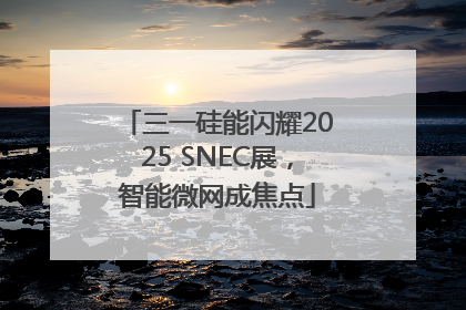 三一硅能闪耀2025 SNEC展，智能微网成焦点