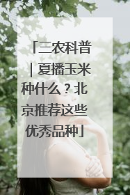 三农科普｜夏播玉米种什么？北京推荐这些优秀品种