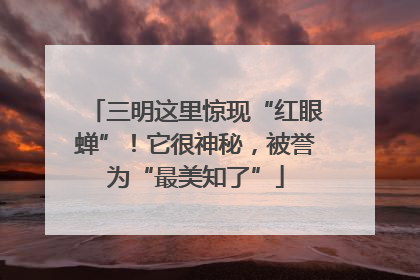 三明这里惊现“红眼蝉”！它很神秘，被誉为“最美知了”